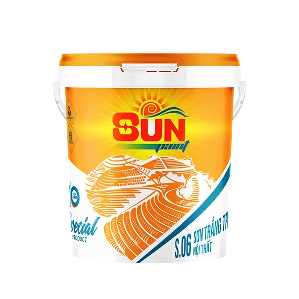 S06